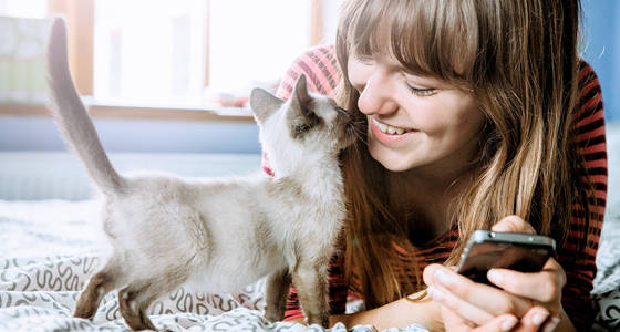 woman laying on bed looking at kitten with her phone in her hand