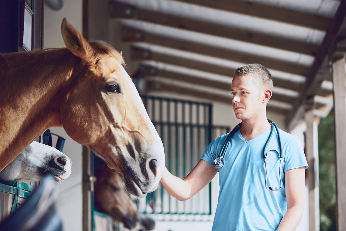 MWI Veterinary Supply