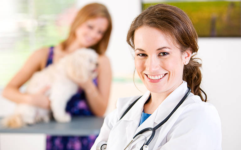 Veterinarians