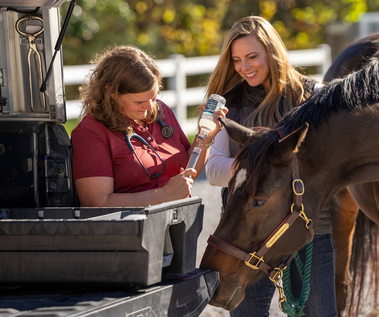 Caring for animals