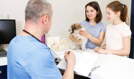 client recommendations