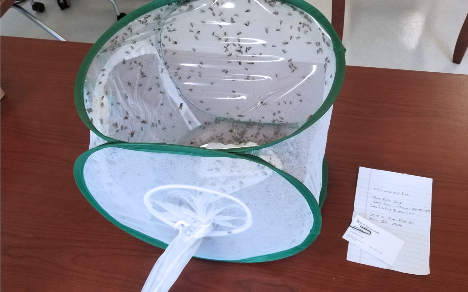 The MWI Animal Health Entomology Laboratory