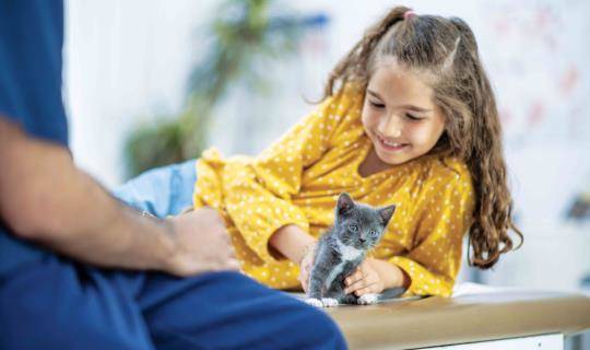 young girl with her gray kitten