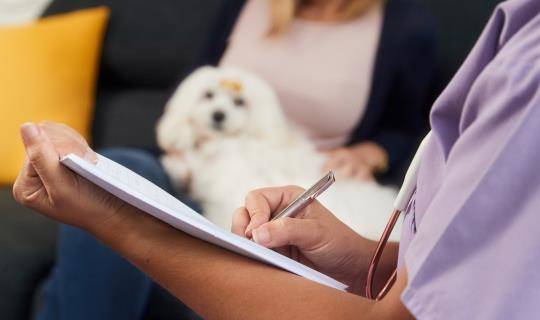 insurance recommendation