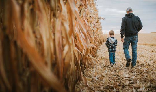 man and his young son walking in corn field