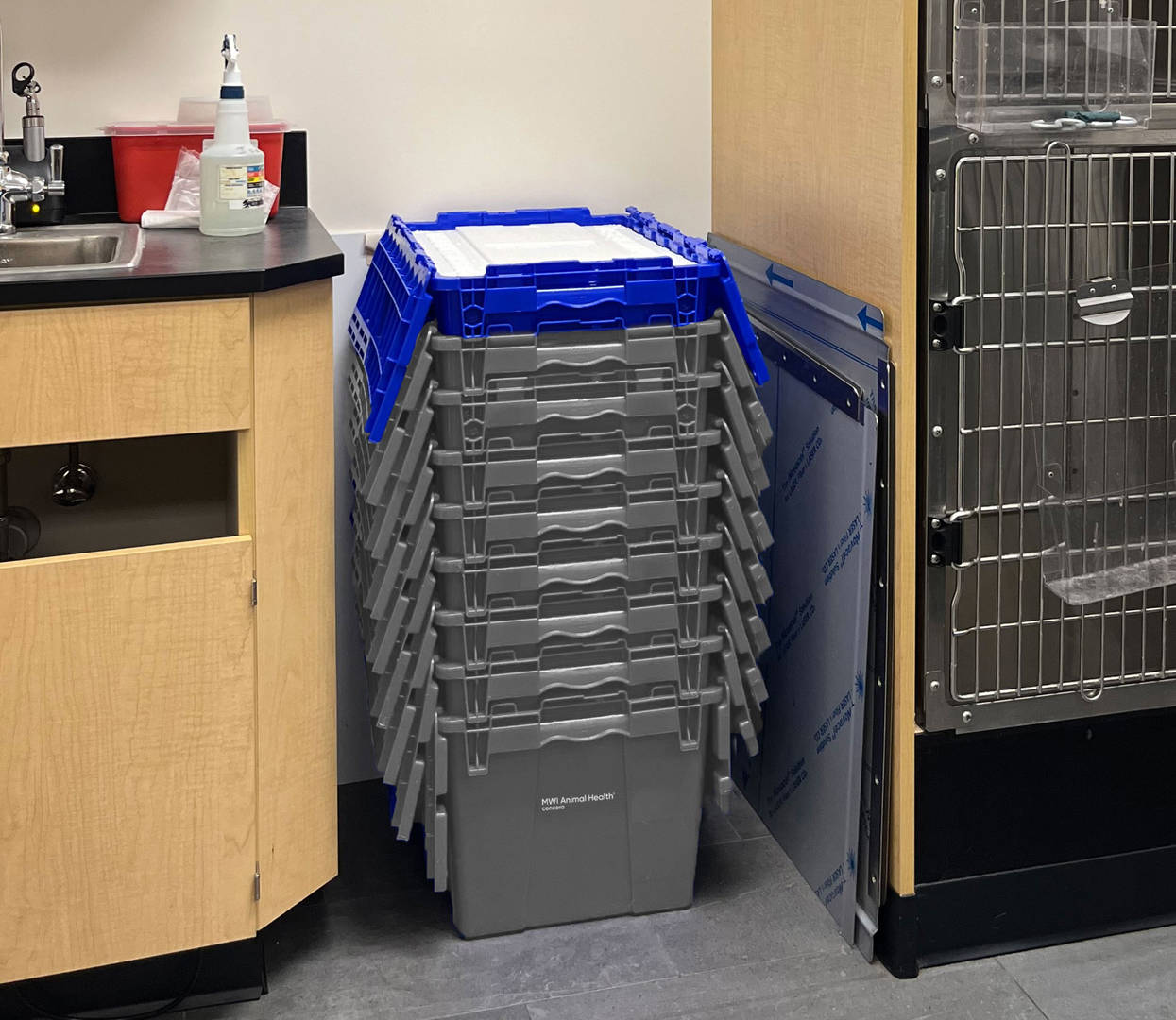 Nested reusable totes