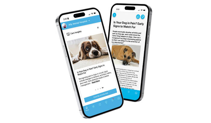 PetPage articles on Iphone