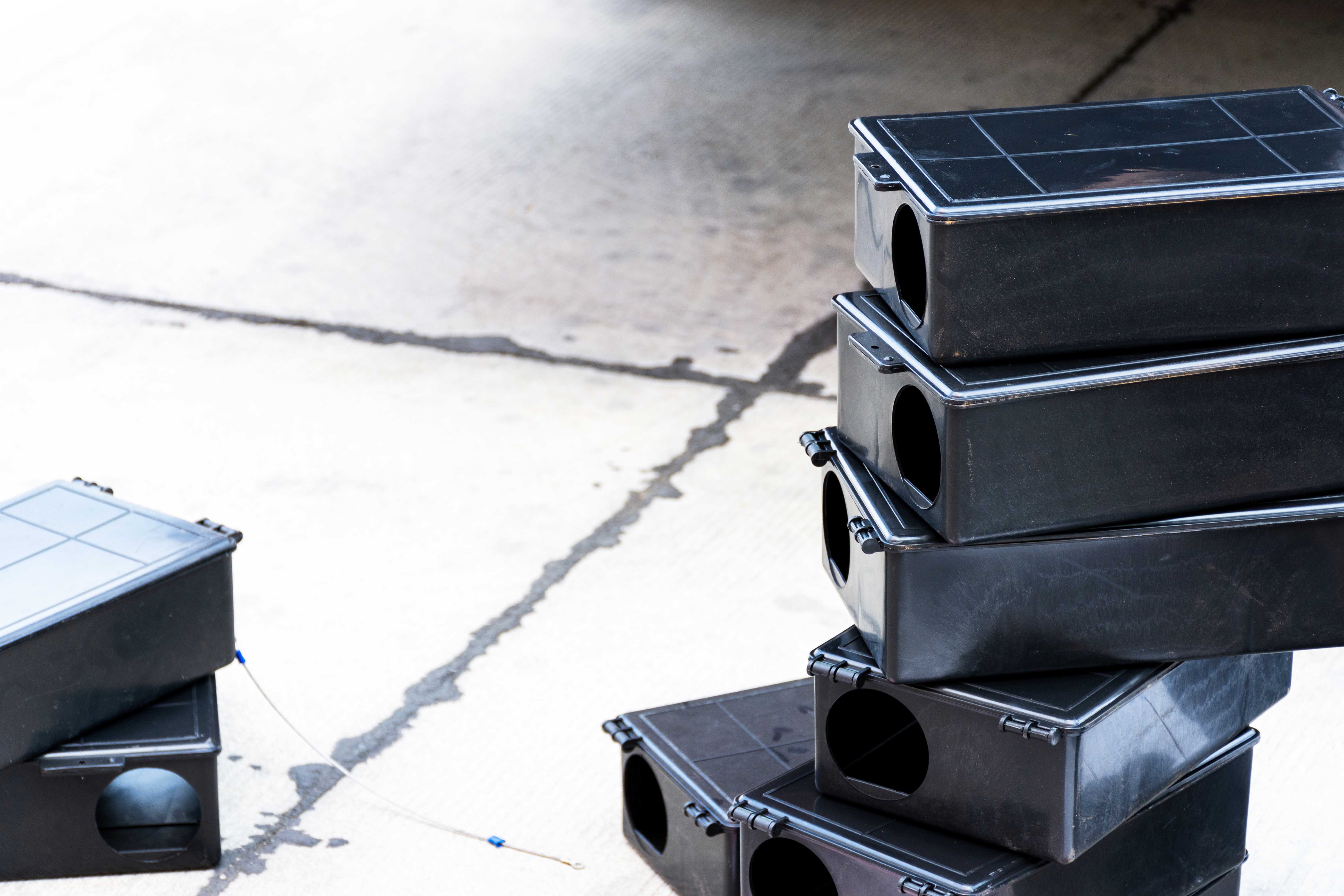 Establish robust rodent control to advance biosecurity