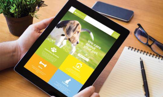 vet-website-tablet