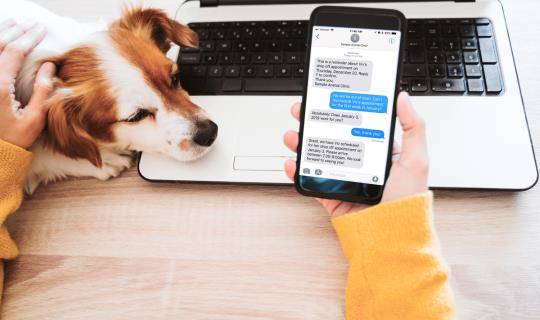 Woman's hand holding phone with AllyDVM's two-way texting platform displayed