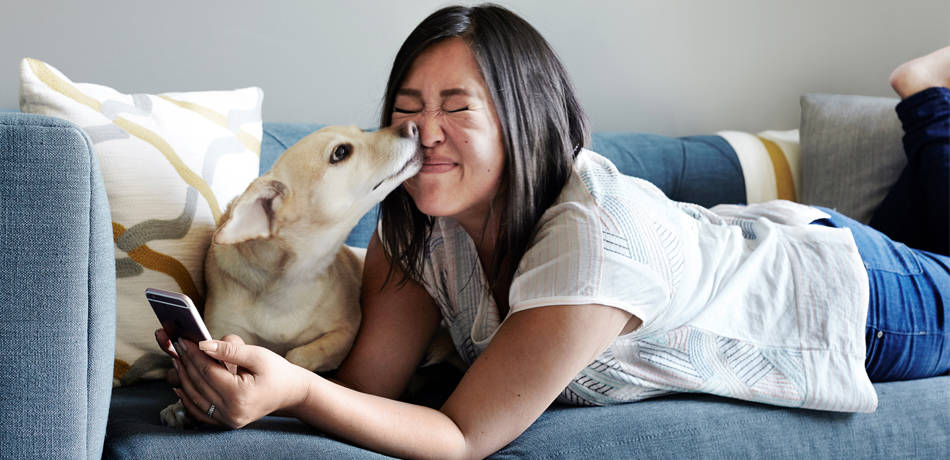 small dog kissing woman's face on couch