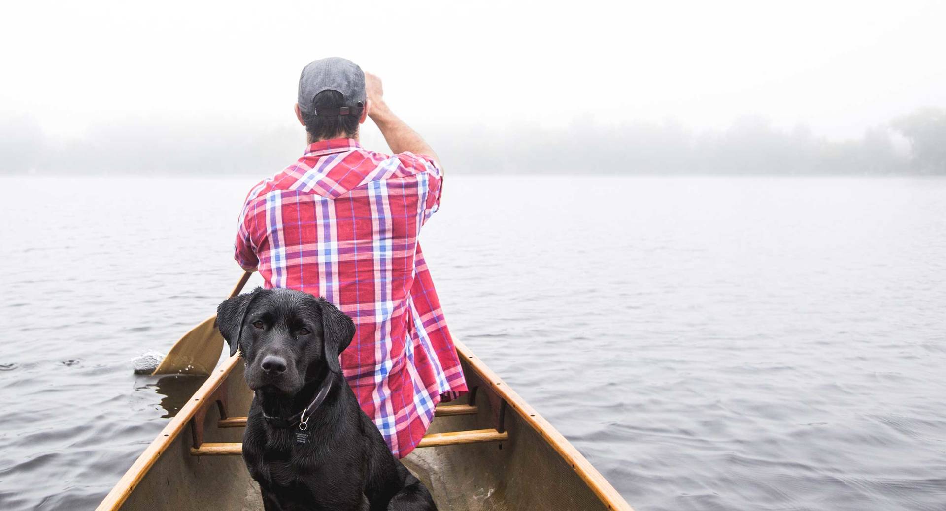 Man paddling a canoe with his dog
