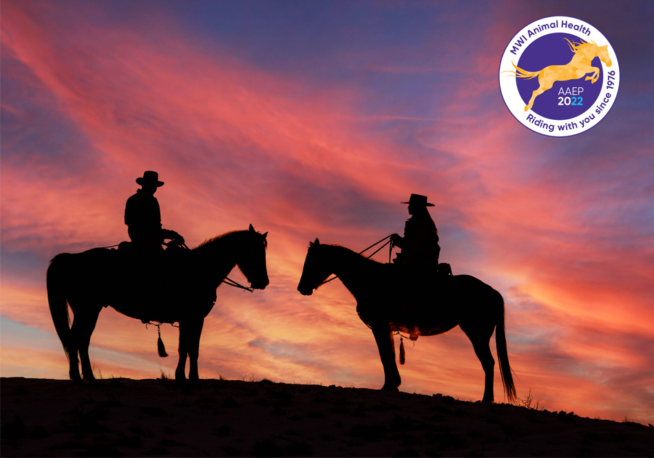 MWI Animal Health Animal Health distributor for companion animals, equine, cattle, livestock