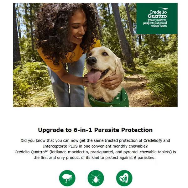 Credelio + Interceptor Plus Lapsed Users Conversion to Credelio Quattro