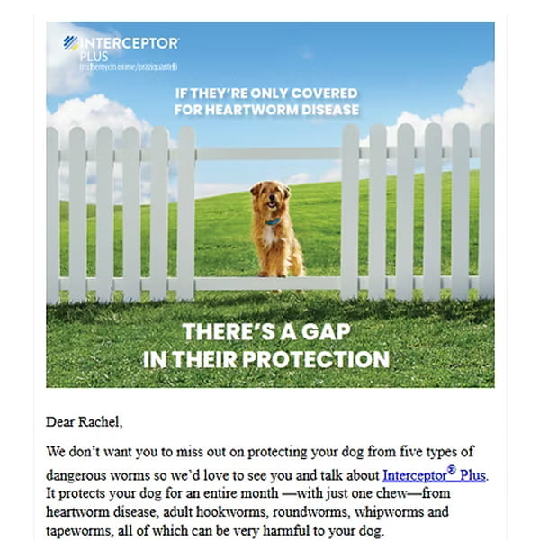 Interceptor rebate campaign