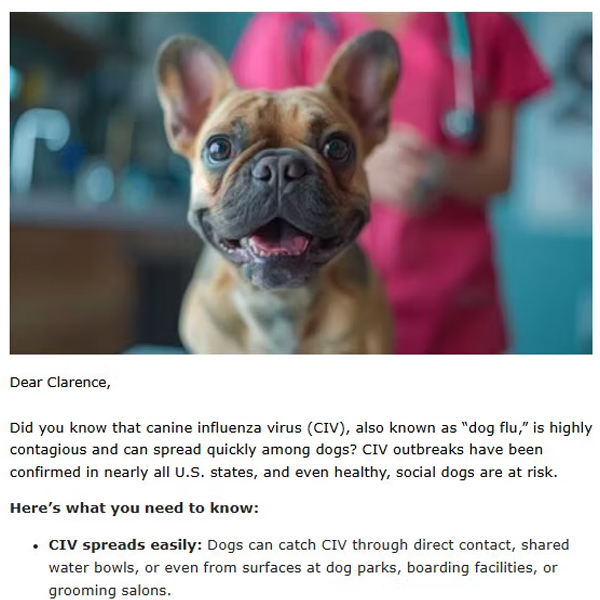 Canine influenza vaccine educational