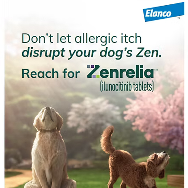 zenrelia introduction email