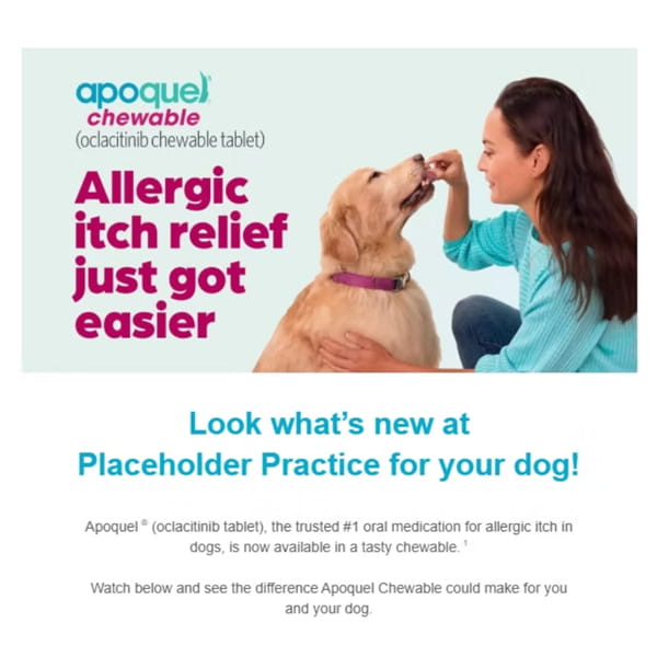 apoquel chewables good news email