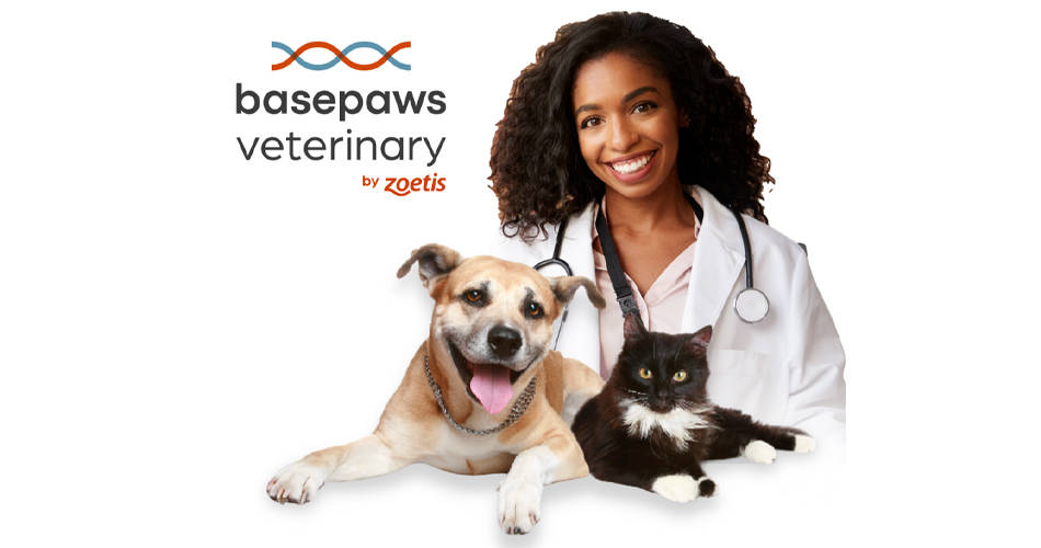 basepaws veterinary logo with female veterinarian and dog and cat