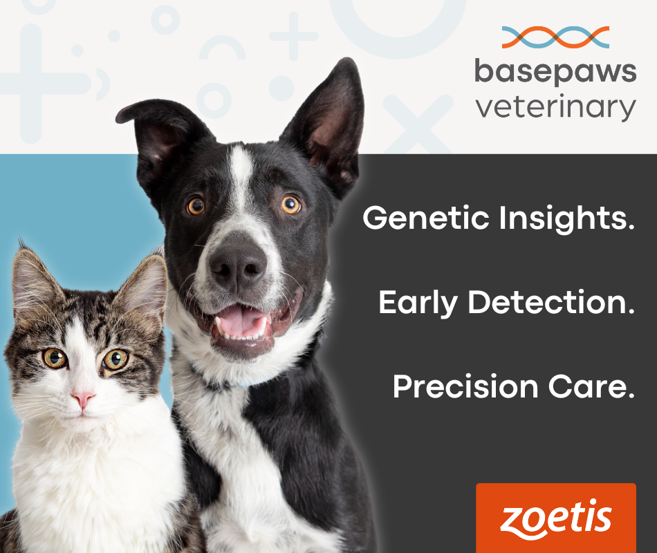 basepaws veterinary logo with dog and cat