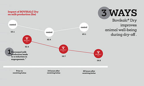 Bovikalc® Dry detailer (PDF)