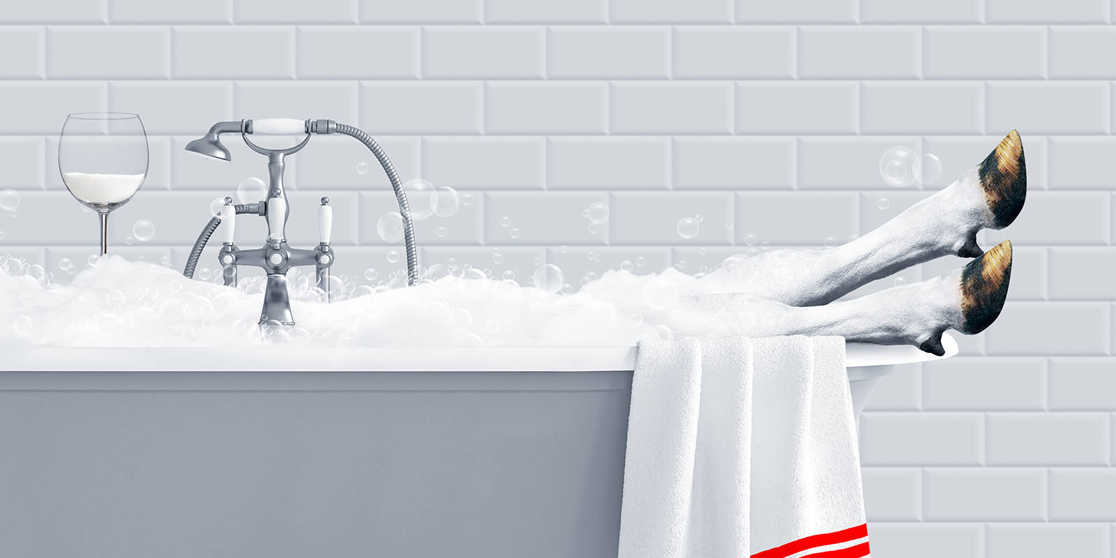 Cow relaxing in bathtub