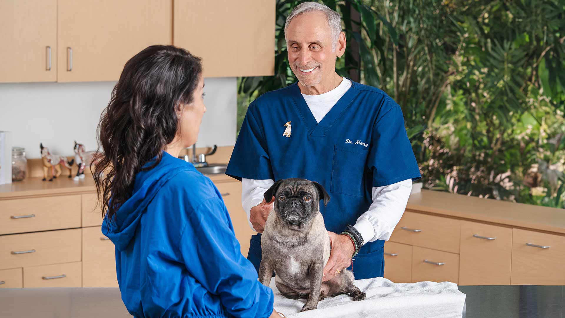 Dr Marty talking to pet owner