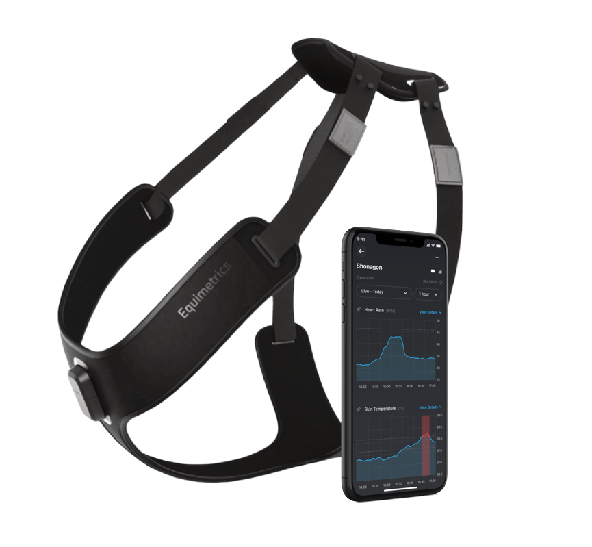 Equimetrics  Harness