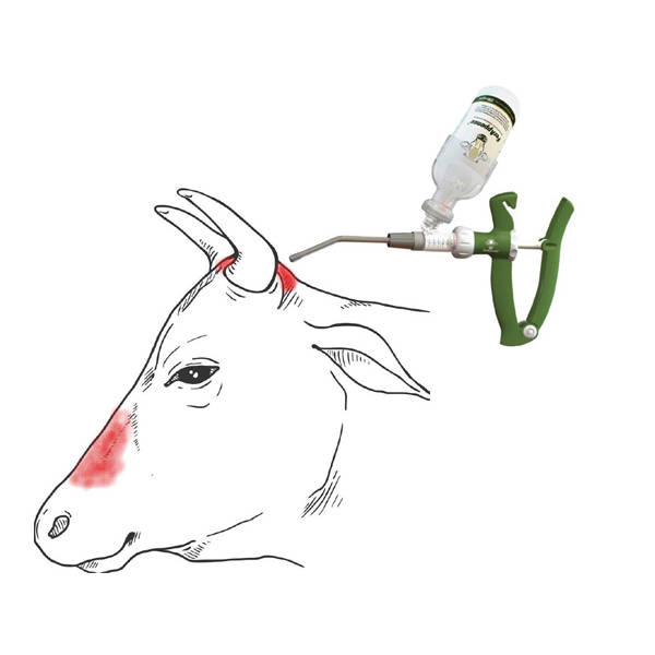 FerAppease application illustration 