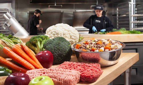 two chefs preparing JustFoodForDogs with fresh ingredients
