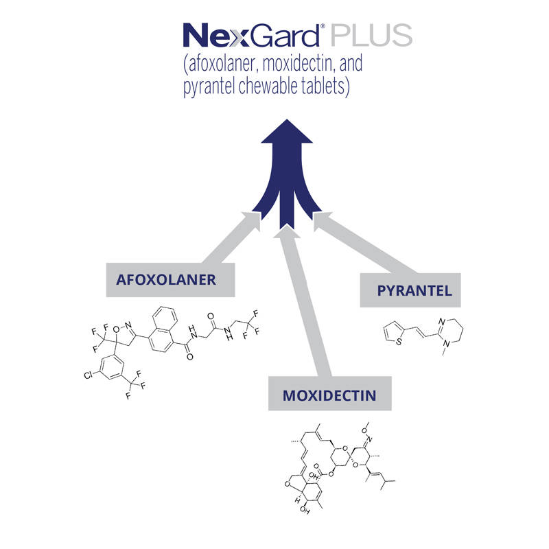 NexGard Plus 3 active ingredients. Afoxolaner, Pyrantel, Moxidectin
