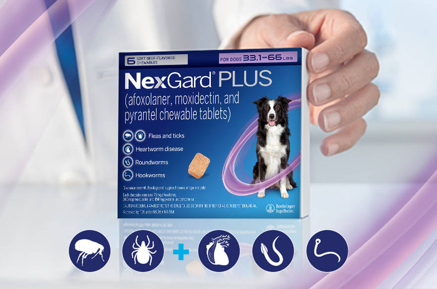 NexGard Plus Packaging