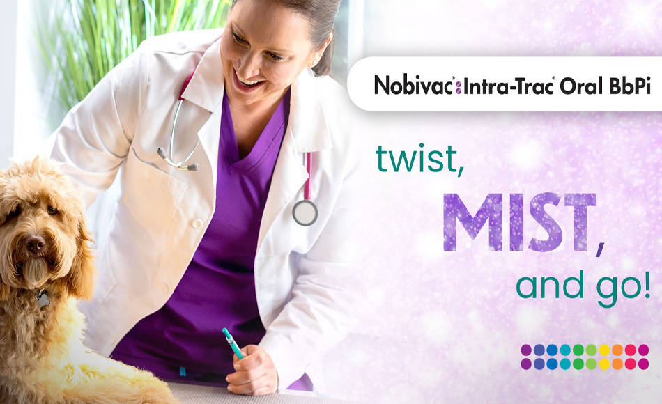 Nobivac Intra-Trac Oral BbPi