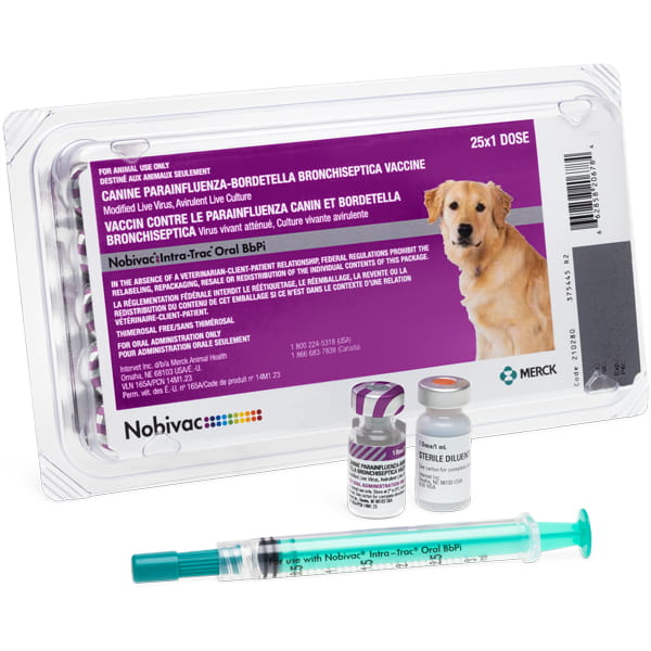 Nobivac Intra-Trac Oral BbPi