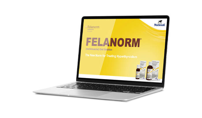 felanorm training video on laptop