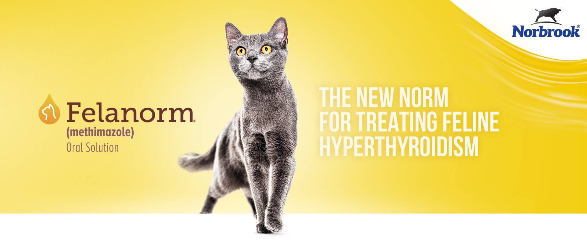 Felanorm logo with gray cat