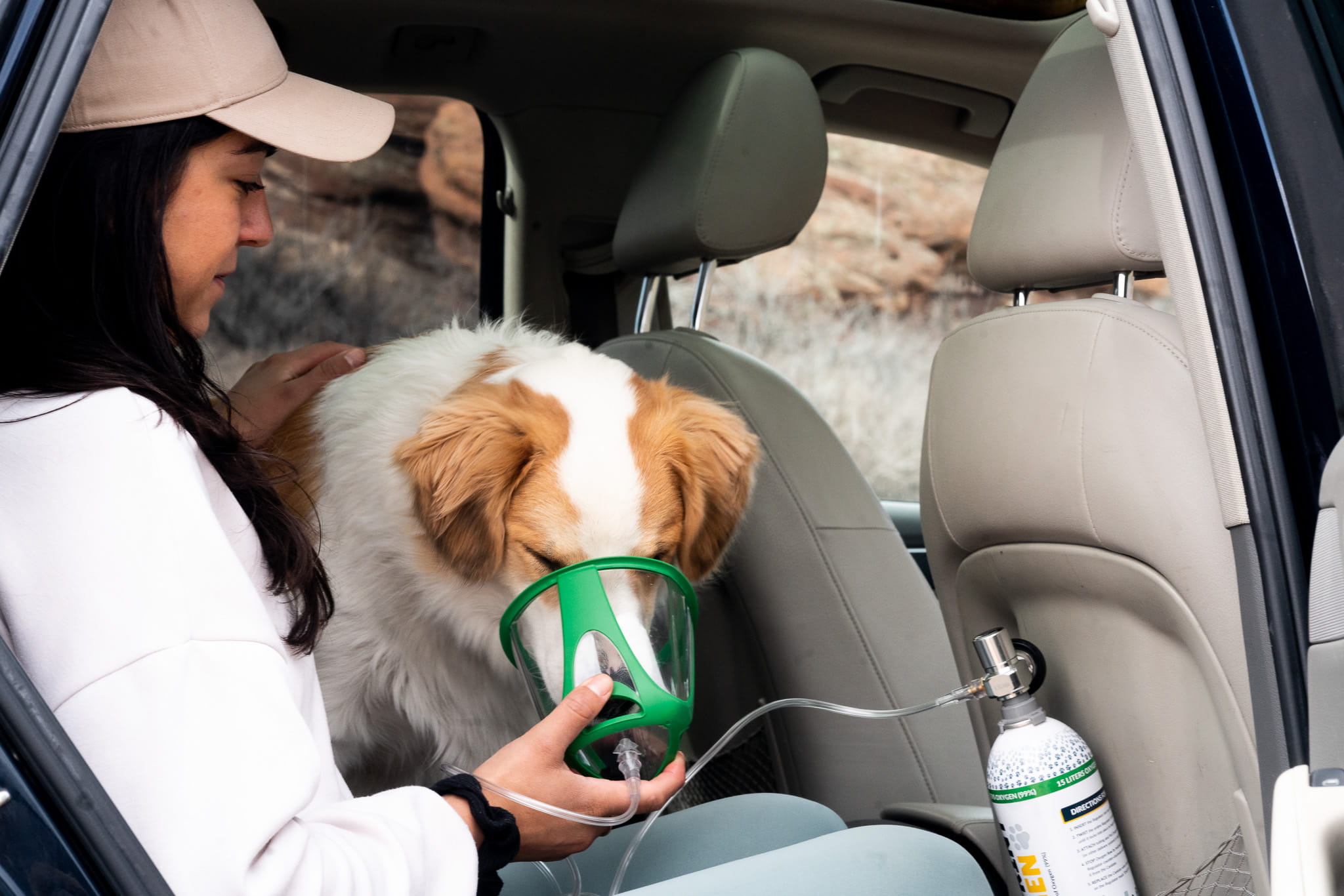 Pawprint Oxygen pawprint-oxygen