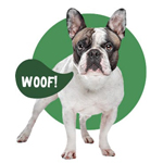 small dog with speech bubble saying woof