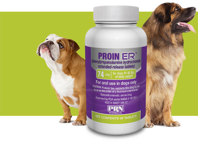 proin ER bottle with two dogs