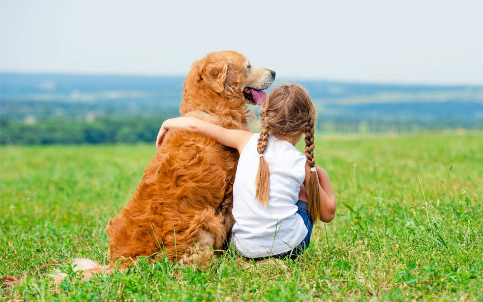 little girl with her dog taking in the view