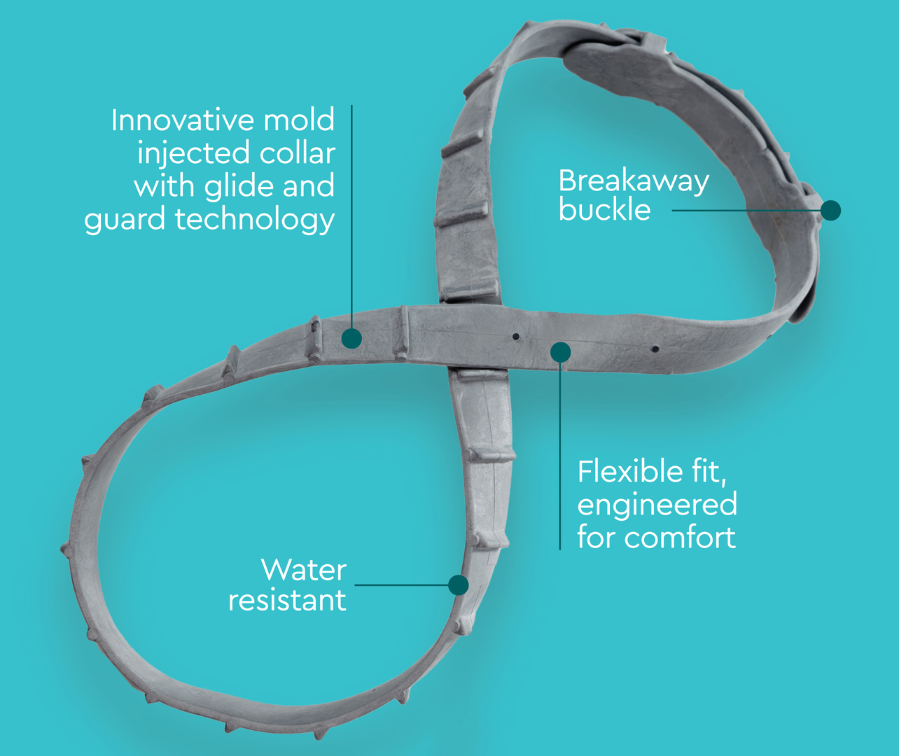Provecta Pro Collar features infographic