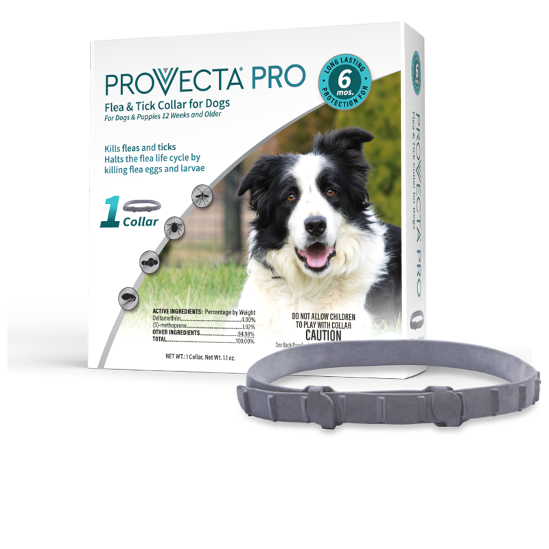 Provecta Pro Packaging with collar