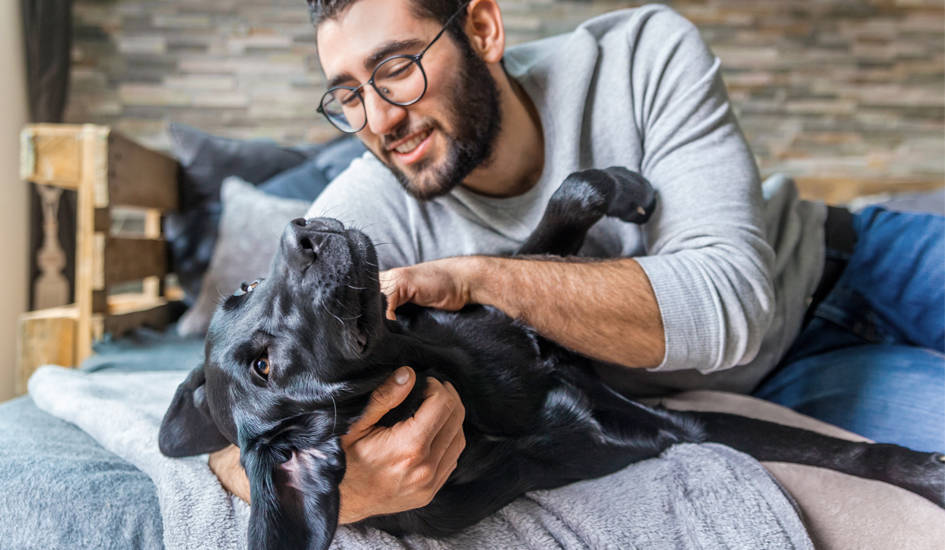 man playing with black dog on bed