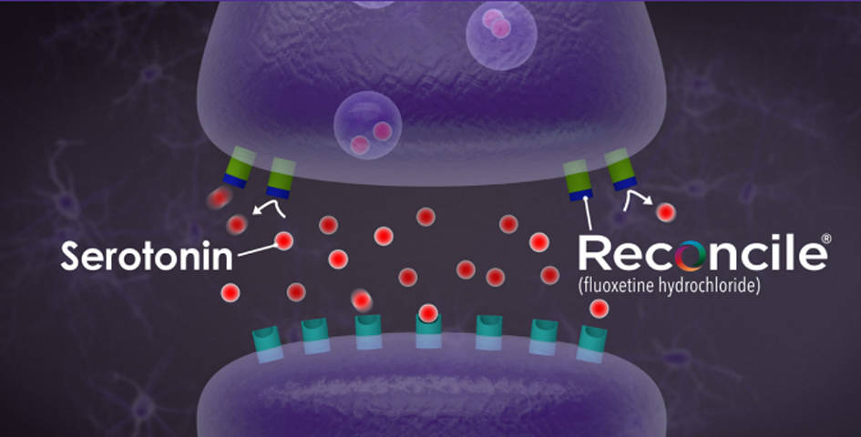 reconcile reacting with serotonin