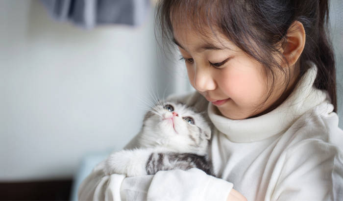 young girl holding kitten