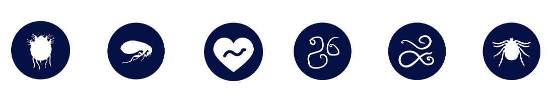 parasites revolution plus protects against