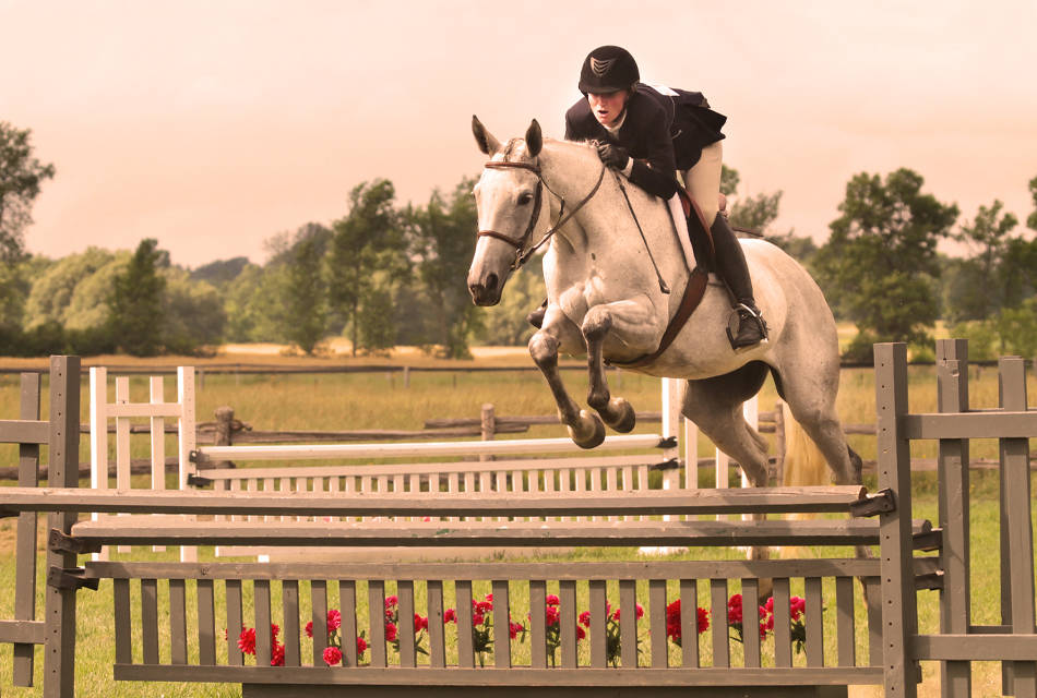 Firocoxib Tablets for Horses