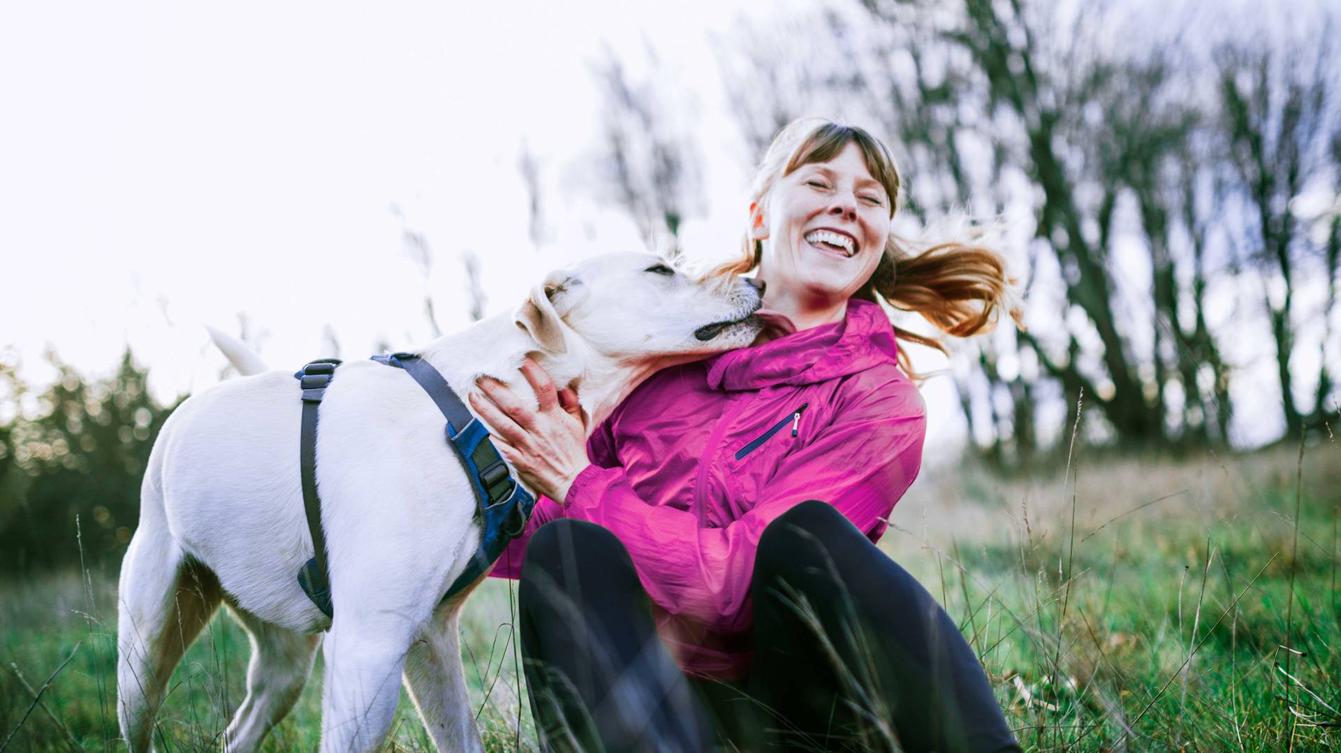 woman getting licked in face by her older dog