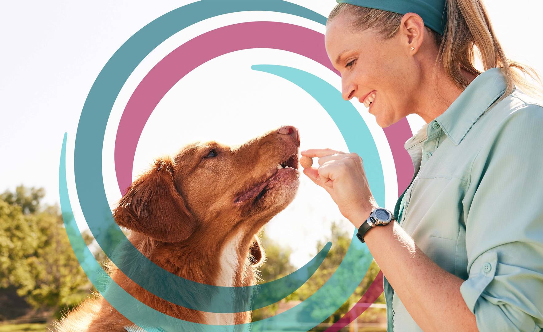 Pet owner giving dog simparica trio chewable