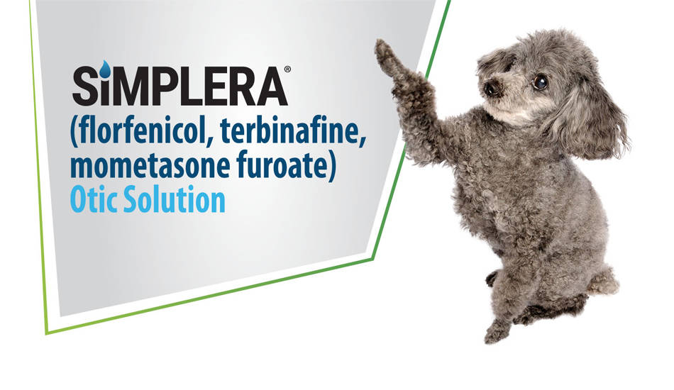 simplera otic solution logo with small gray dog